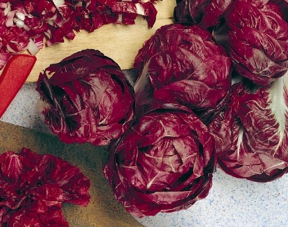 Picture of Chicory Rossa Di Verona
